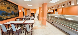 t6 et plus à la vente -   04260  ALLOS, surface 181 m2 vente t6 et plus - UBI428999993